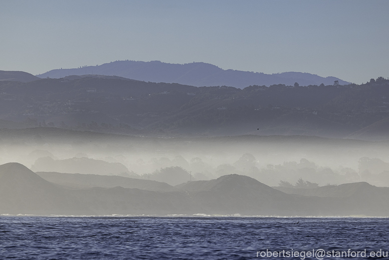 Monterey Bay whale watching